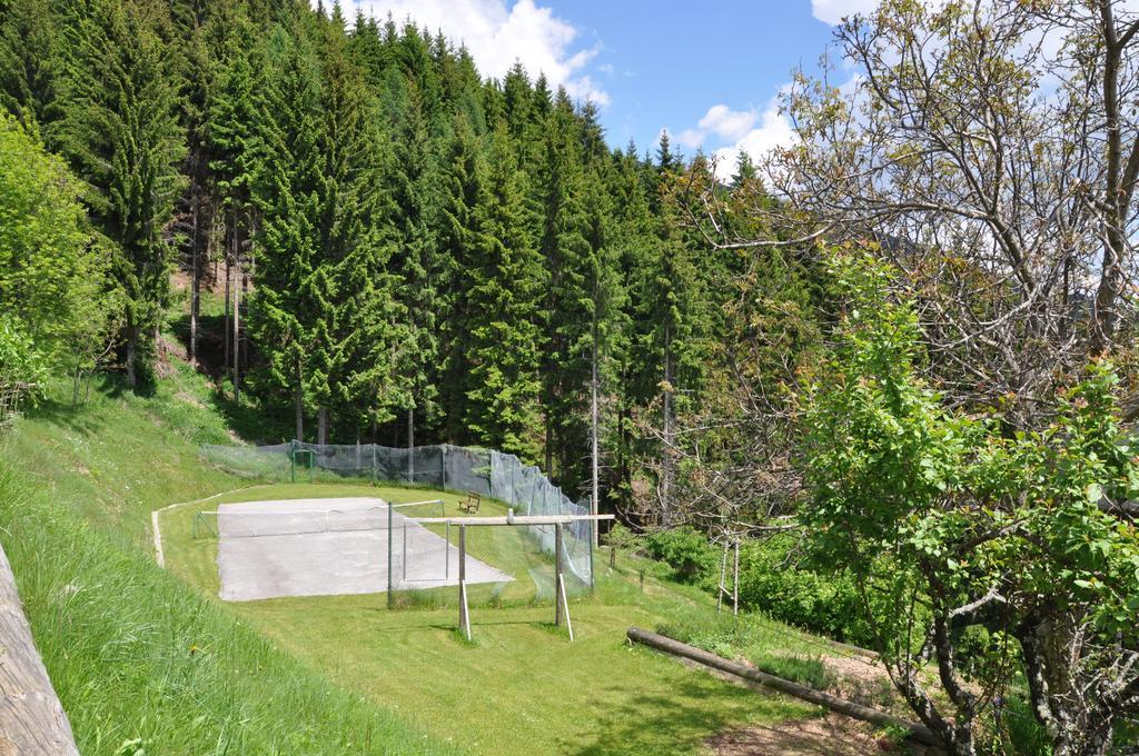 Almen-Kraeuter-Oberreiter Apartment Dellach im Drautal Exterior photo
